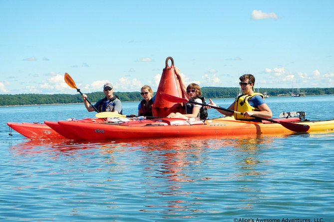 Sea Kayak to an Island Tour in Casco Bay - Why This Tour Is Worth Your While