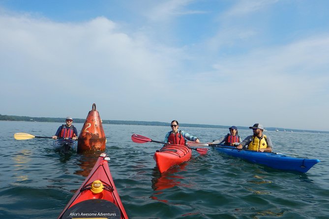 Sea Kayak to an Island Tour in Casco Bay - Frequently Asked Questions