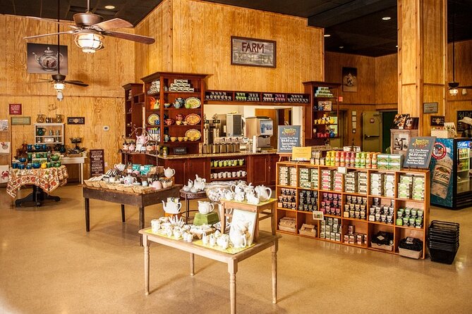 Wine Sippin'-Tea Drinkin'-Tree Huggin' Lowcountry Sightseeing - Final Thoughts