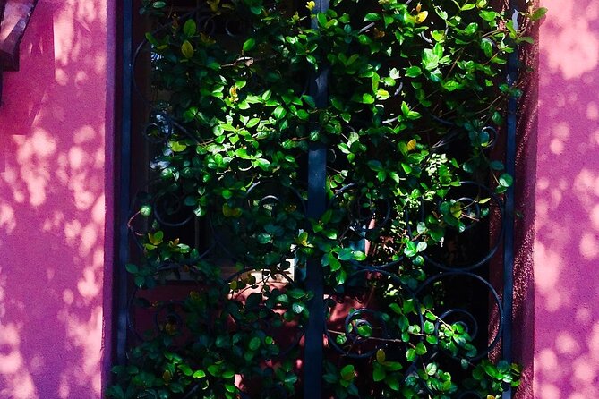 Small-Group Tour: Charleston Old Walled City Historical Walking Tour - The Sum Up