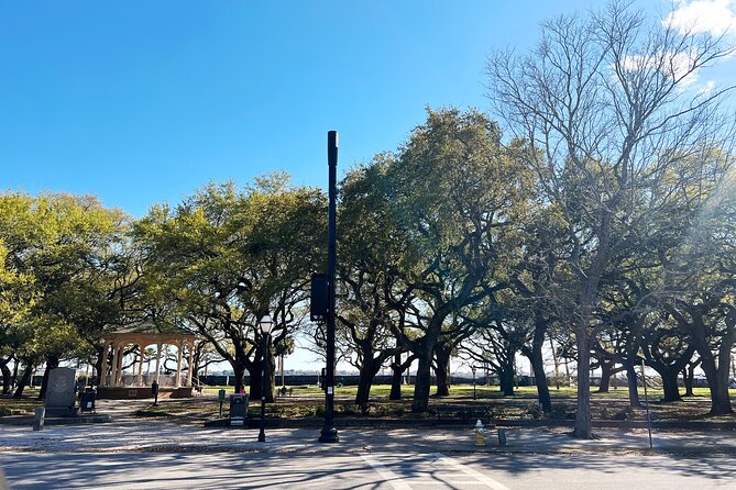 Charleston in Comfort: A Small Group City Tour with Sprinter Van - The Sum Up