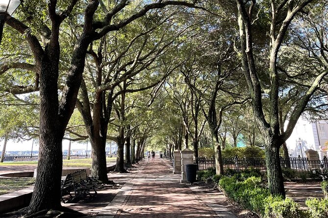 Scottish and Irish Connection Charleston Heritage Walking Tour - What We Loved and What to Consider