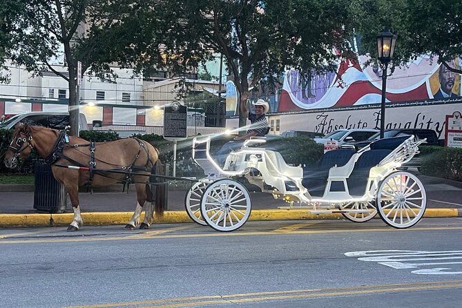 Private Carriage Tour of Galveston - A Detailed Look at the Carriage Tour Experience