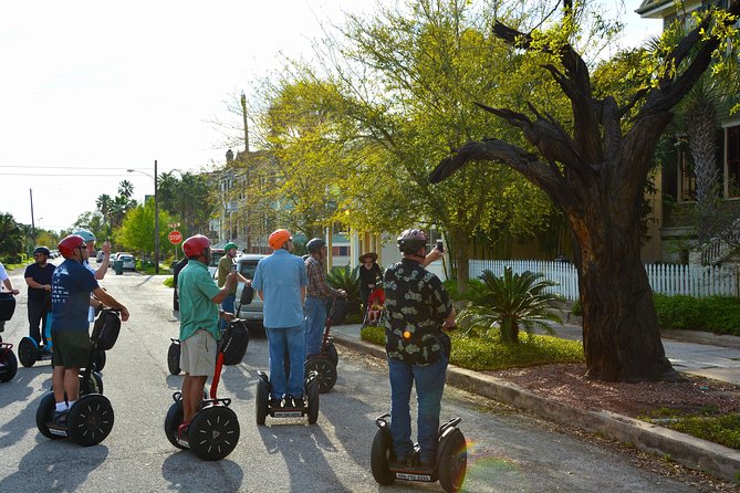 Galveston Tree Carvings Segway Tour - The Bottom Line