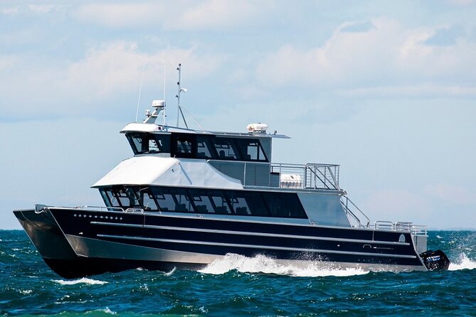 Port Townsend Wildlife Watching Cruise - What Youll See and Learn During the Tour