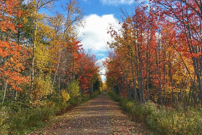 2 Hour E-Bike Tour of Charlottetown - Good To Know