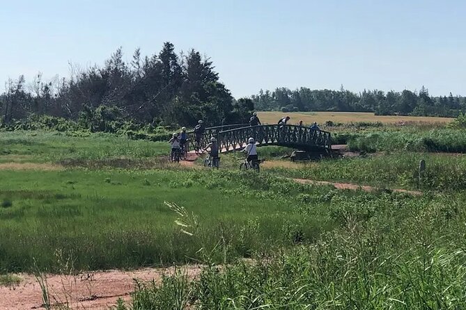 E-Bike Day Tour From Cavendish to Rustico - Authentic Experiences & Local Highlights