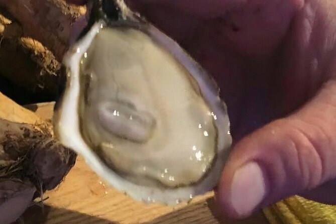 Island Tour with Oyster Tasting & Merroir Experience P.E.I. - Taking a Closer Look at the Tour Experience