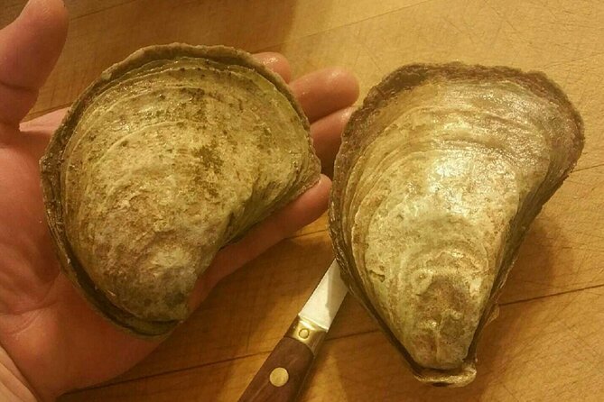 Island Tour with Oyster Tasting & Merroir Experience P.E.I. - Frequently Asked Questions (FAQs)