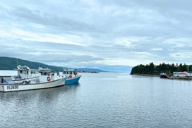 Ingonish and Keltic Lodge 6 Hours Cabot Trail Tour - Practical Details and Value