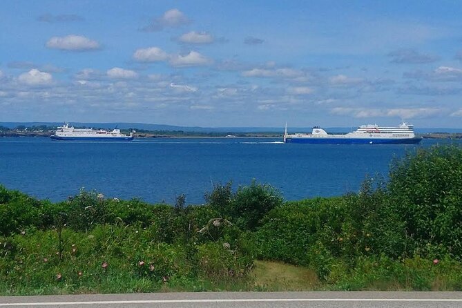 Harbor Highlights: Sydney City Tour - Analyzing the Value