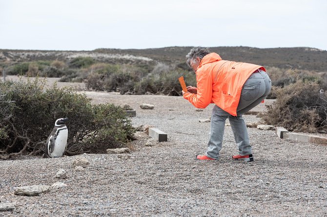 Cruise Shore Excursion Ea San Lorenzo Peninsula Valdes - Patagonia - Argentina - Key Points