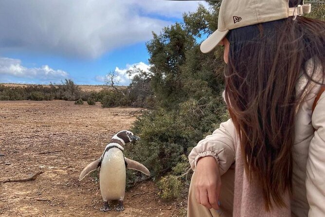 Exclusive Full Day Tour Penguin Colony in Punta Tombo from Madryn - Practical Details and Insights