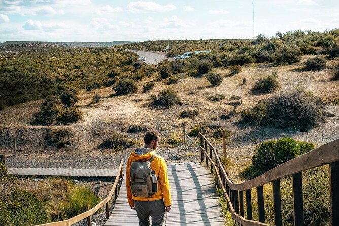 Exclusive Full Day Tour Penguin Colony in Punta Tombo from Madryn - Frequently Asked Questions