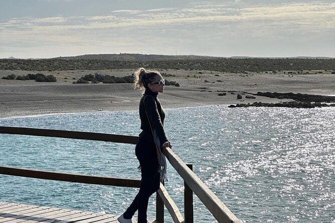 Exclusive Full Day Tour Penguin Colony in Punta Tombo from Madryn - The Sum Up