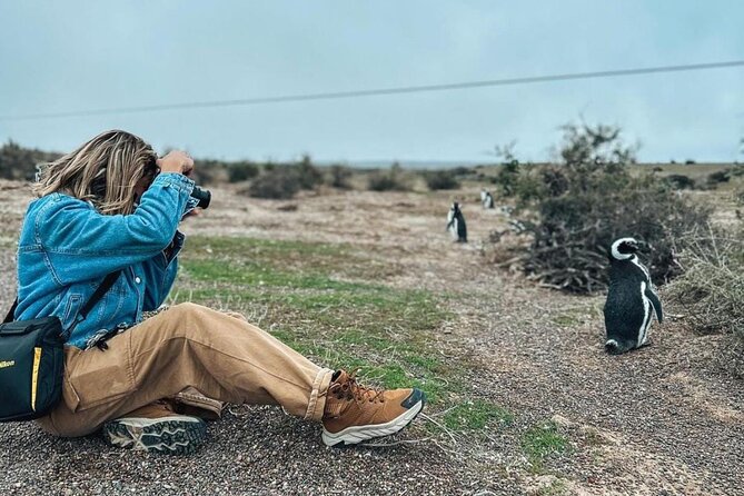 Exclusive Full Day Tour Penguin Colony in Punta Tombo from Madryn - A Full Day Among Penguins and Dinosaur Replicas: The Punta Tombo Tour from Puerto Madryn