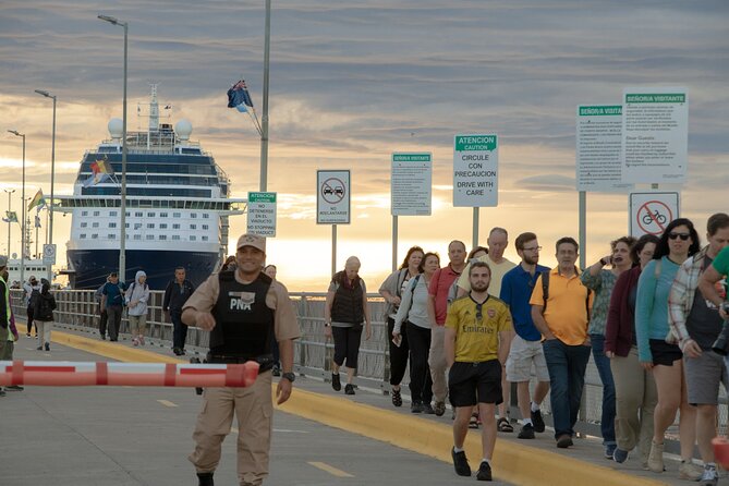 Shore Excursion Peninsula Valdes cruise passengers Puerto Madryn - In-Depth Review of the Peninsula Valdes Shore Excursion