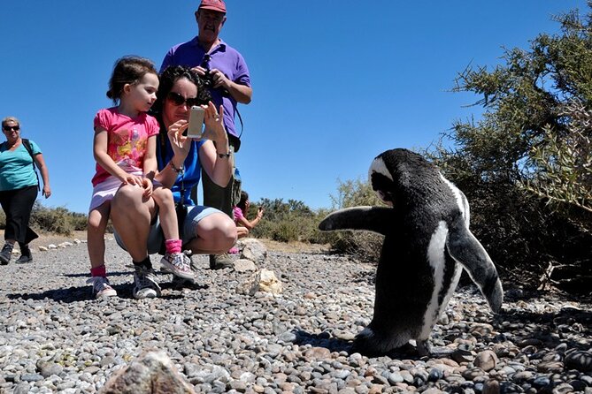 Regular Shore Excursion for Punta Tombo Cruises - Final Words