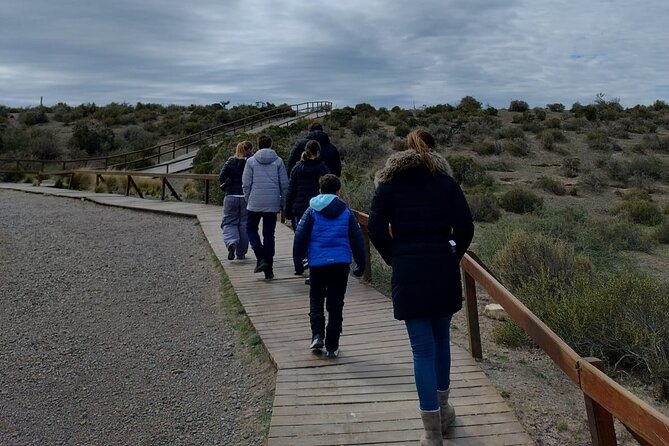 Punta Tombo for Cruises Walk among Penguins - Experience the Wildlife of Punta Tombo: Walk Among Penguins Near Puerto Madryn
