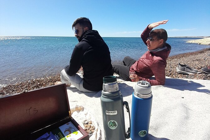 Mountain Biking and Sea Lion Watching in Puerto Madryn - Key Points