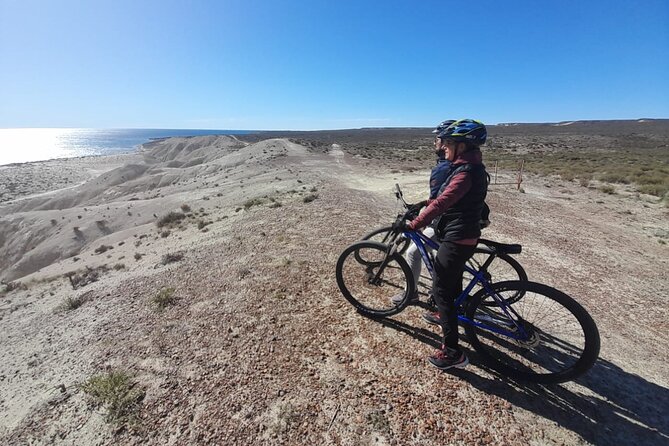Mountain Biking and Sea Lion Watching in Puerto Madryn - Considerations and Practicalities