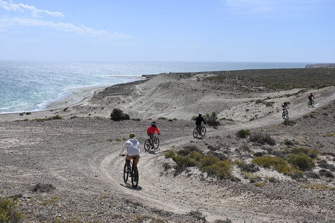 Mountain Biking and Sea Lion Watching in Puerto Madryn - FAQs