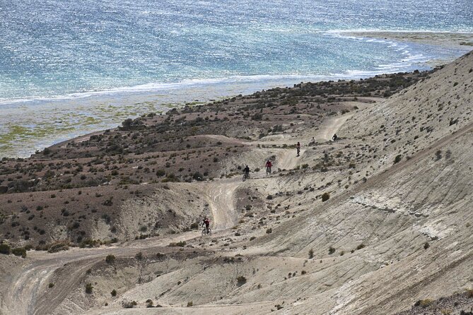 Mountain Biking and Sea Lion Watching in Puerto Madryn - Who Will Love This Tour?