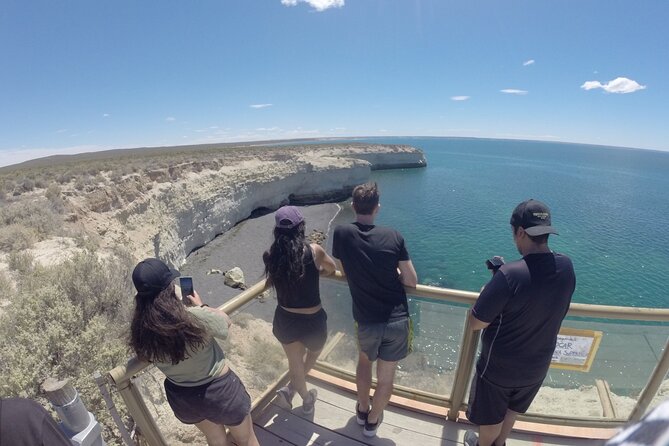 Mountain Biking and Sea Lion Watching in Puerto Madryn - Final Thoughts