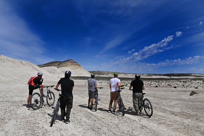 Mountain Biking and Sea Lion Watching in Puerto Madryn - The Authentic Experience and Why It Matters