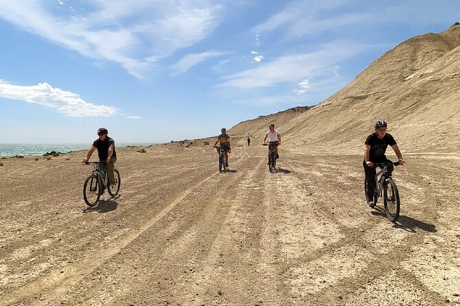 Mountain Biking and Sea Lion Watching in Puerto Madryn - References