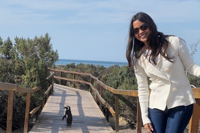 Cruise excursion to Punta Tombo from Puerto Madryn - Final Thoughts