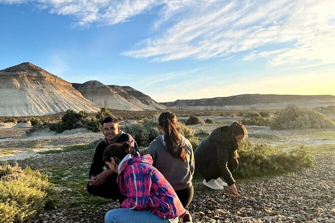 Tour South Circuit- Best of Puerto Madryn in 4 hours - Key Points