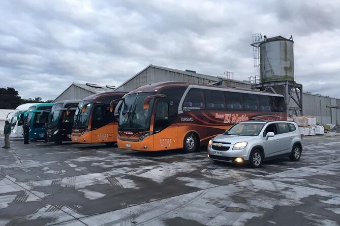 Cruise Shore Private Excursion Osorno Volcano & Petrohué Falls - Who Will Love This Tour?