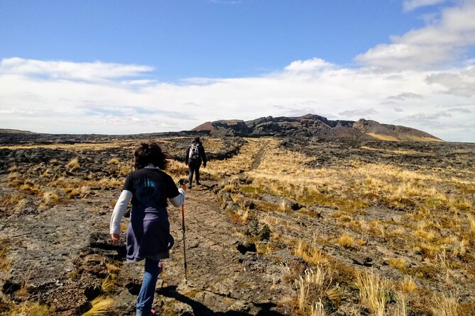 Pali Aike Full-Day Adventure from Punta Arenas - FAQ: Your Questions About the Pali Aike Full-Day Tour