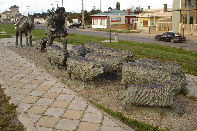 Punta Arenas: Half day traditional City Tour - Who Will Love This Tour?