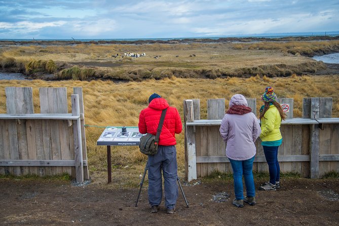 King Penguin Nature Reserve - Tierra del Fuego Island - Practical Tips for Future Travelers