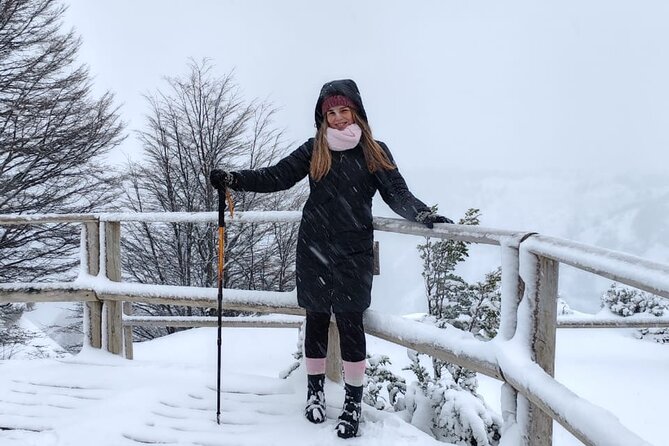 Magallanes National Reserve and Punta Arenas City Tour - Exploring the Magallanes National Reserve