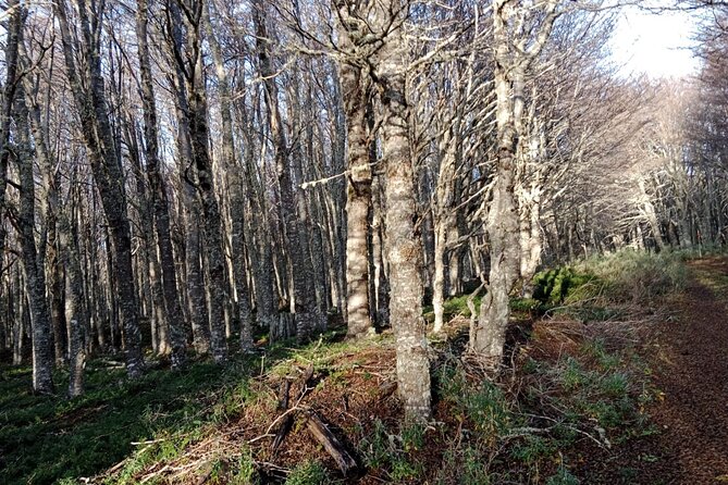 Magallanes National Reserve and Punta Arenas City Tour - Final thoughts