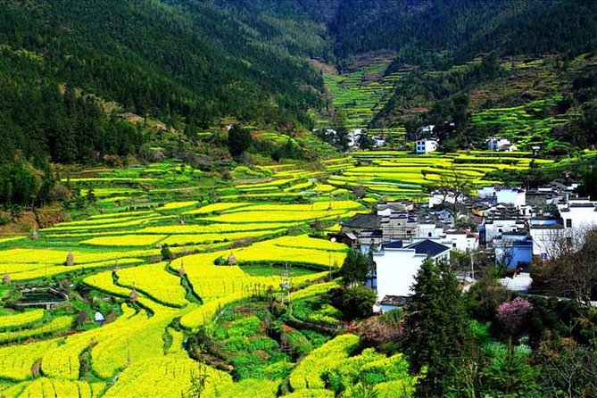 Private Hangzhou Tea Plantation and Garden Tour with Lunch - Frequently Asked Questions