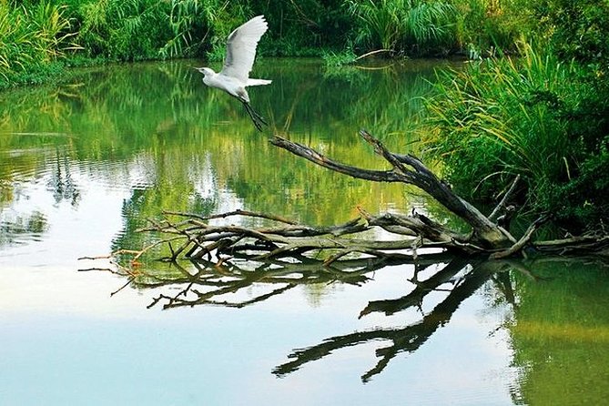 Hanghzhou Xixi Wetland Half Day Tour with Boat Ride - The Itinerary: A Closer Look