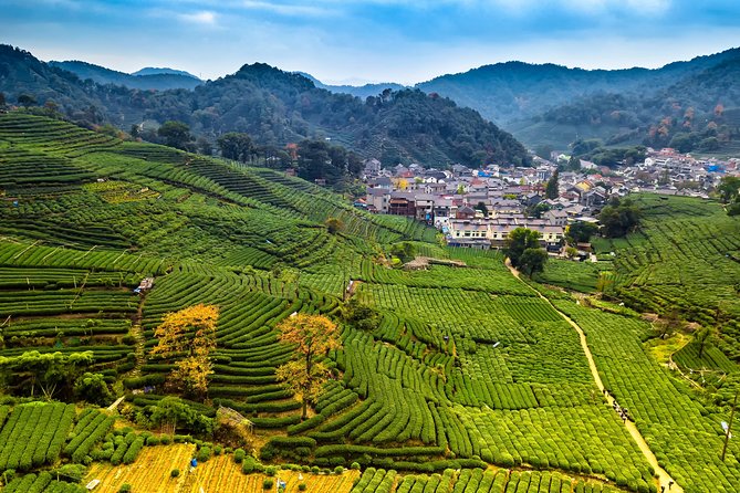 One-Day Hangzhou Dragon Well Tea Culture & West Lake Private Tour - Exploring Hangzhous Rich Attractions in One Day