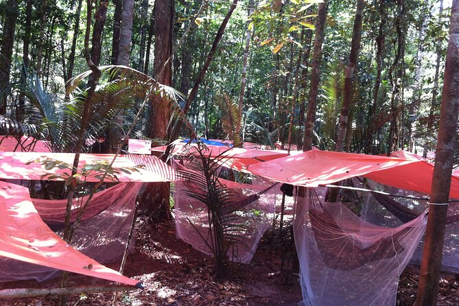 Dinner and Overnight in the Jungle in Manaus - Exploring the Jungle: A Full Breakdown of the Experience