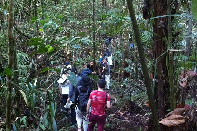 Dinner and Overnight in the Jungle in Manaus - Key Points