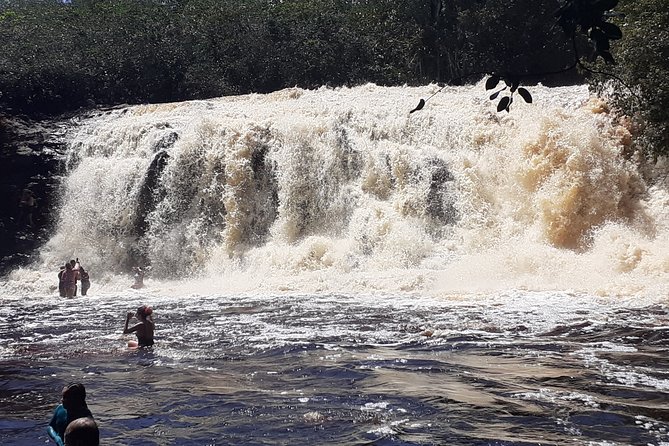 Private Tour of Iracema and Asframa Waterfalls in Manaus - Discovering the Waterfalls & Amazon Fauna