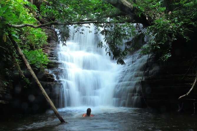 6-Day Guided Kayak Expedition in the Amazon - What This Tour Means for You
