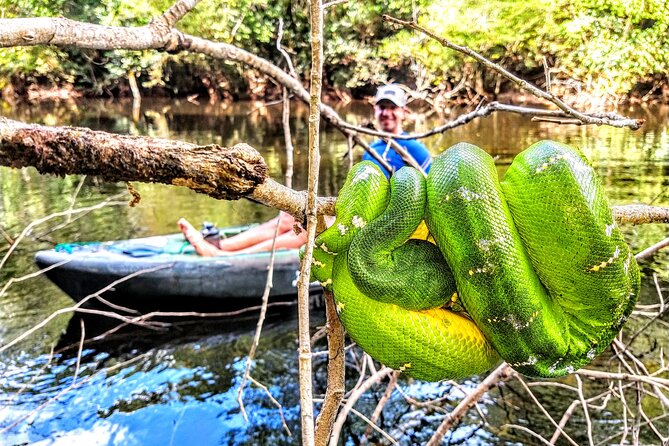 6-Day Guided Kayak Expedition in the Amazon - Final Thoughts