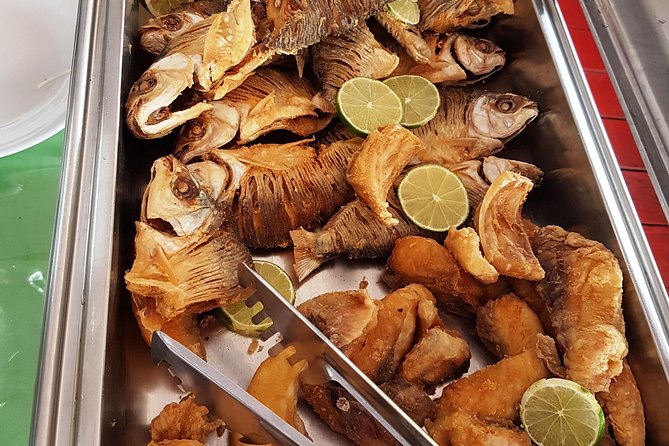 Amazon Negro River Half-Day Expedition Tour - Who Is This Tour Best For?