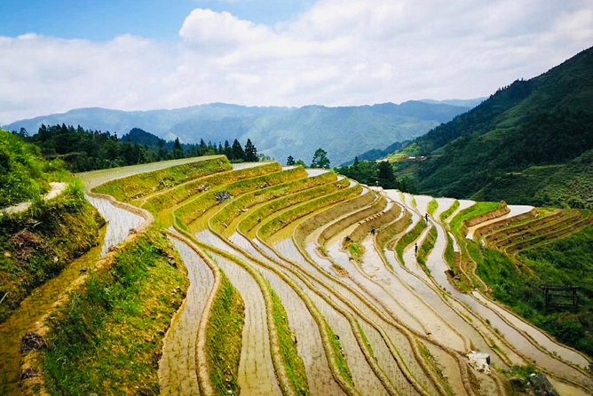 Private Day Tour to Longji Rice Terraces from Yangshuo - FAQ