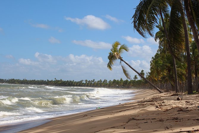 Private Transfer from Recife Airport to Serrambi By RECIFE TRANSLADO - Authentic Reviews and Insights