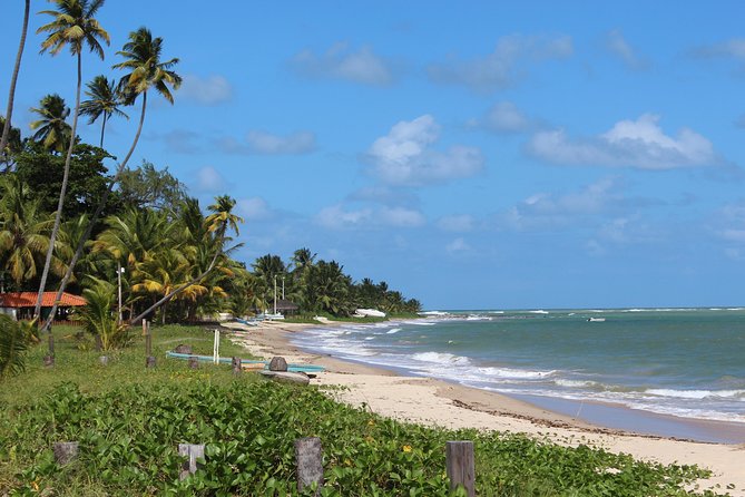 Private Transfer from Recife Airport to Serrambi By RECIFE TRANSLADO - Final Thoughts: Is This Transfer Right for You?